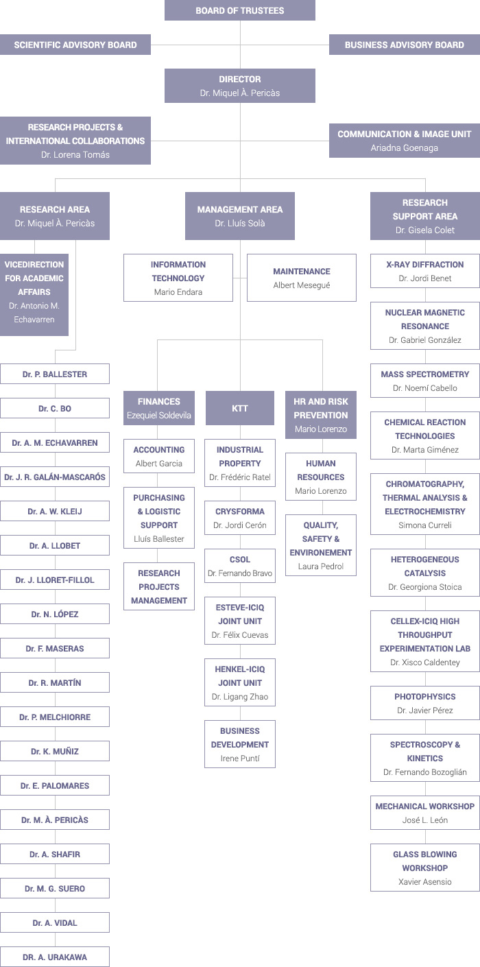organisational-chart-2015-2